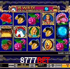8777bet Salvador - Bonus Stats